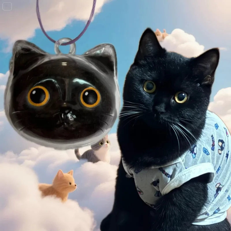 Коробка на память для шерсти д – обзор и цена Pet Supplies Stores