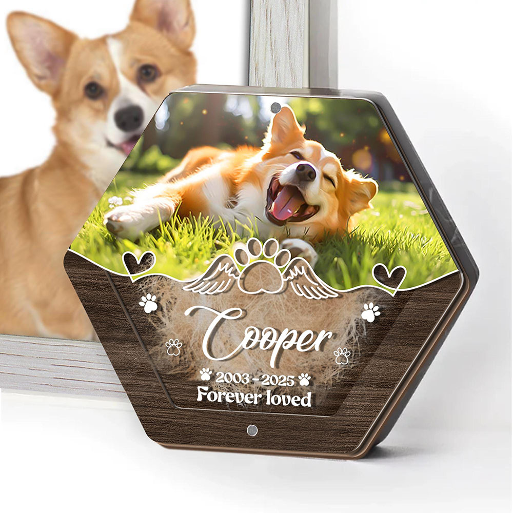 Персонализированное имя, дерев – обзор и цена Pet Supplies Stores