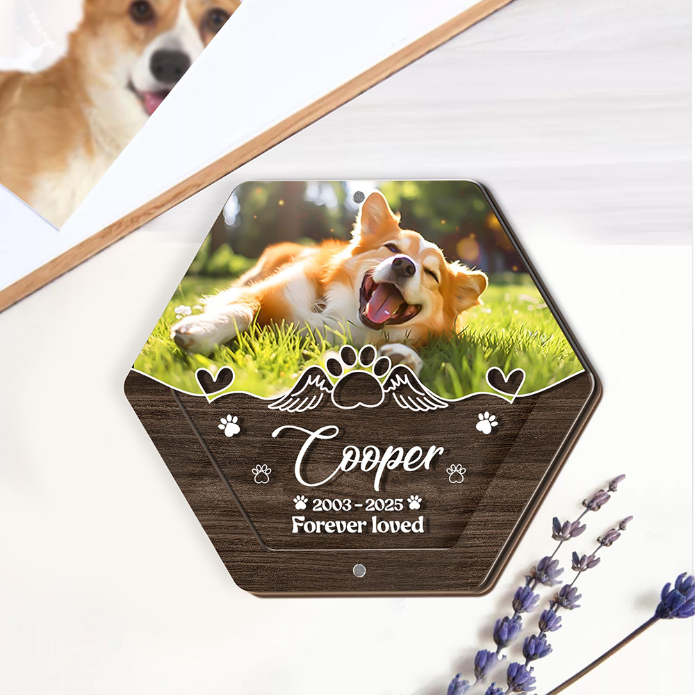 Персонализированное имя, дерев – обзор и цена Pet Supplies Stores